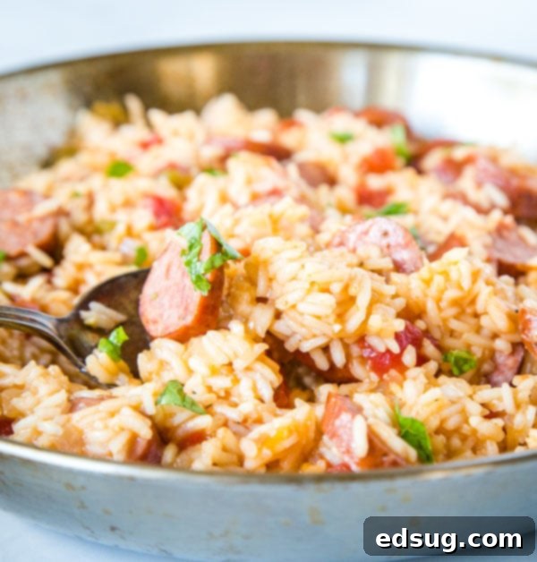A bowl of food with rice and vegetables