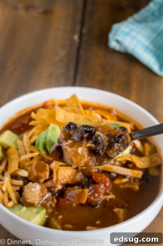 Zesty Chicken Enchilada Bowl 3 A close-up of the hearty Chicken Enchilada Soup, showcasing tender chicken pieces, beans, and the rich, flavorful broth, ready to be served.
