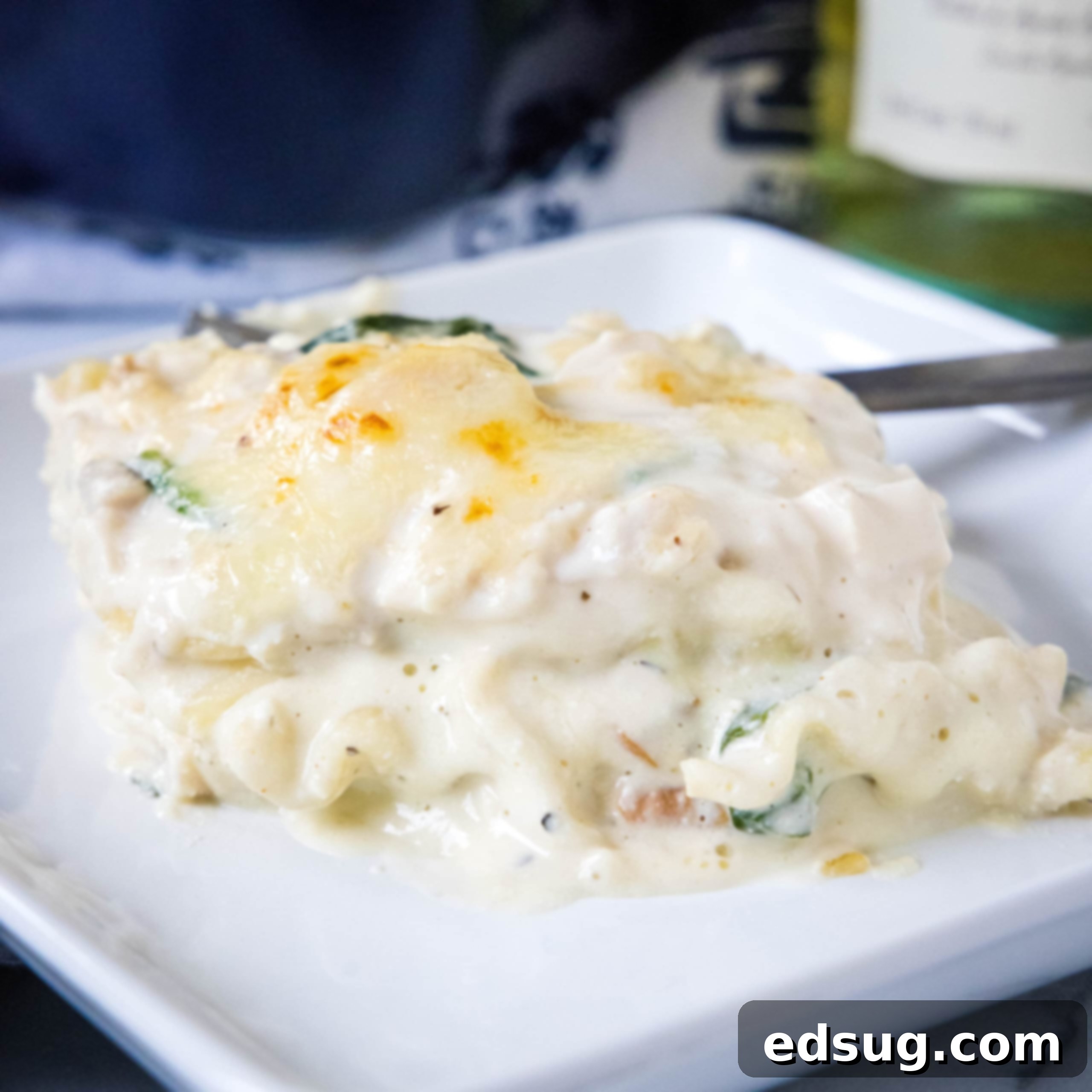 A serving of chicken alfredo lasagna on a plate.
