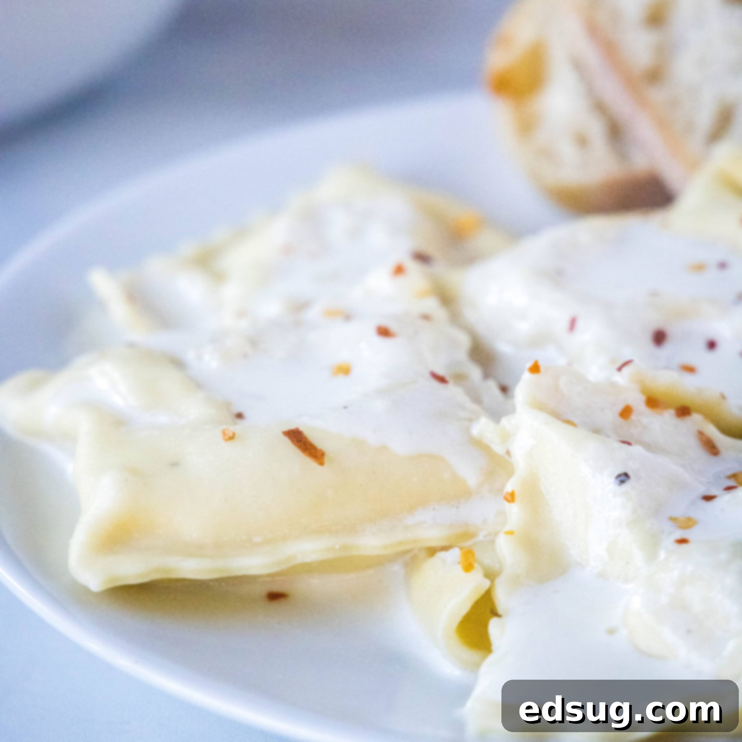 close up homemade ravoili on a plate with white sauce