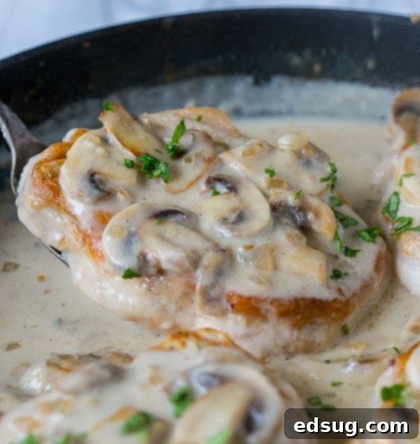 Close up of smothered pork chops with mushroom gravy in a skillet.