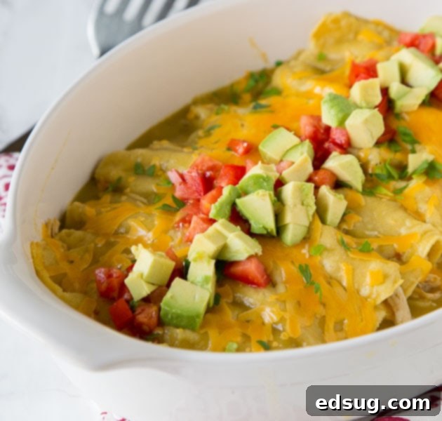 a dish of enchiladas topped with tomatoes and avocados