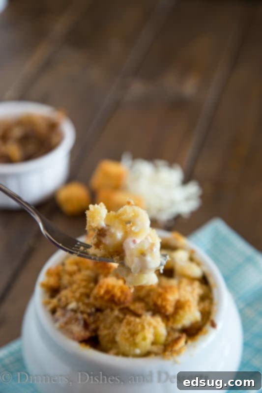 french onion mac n cheese in a bowl