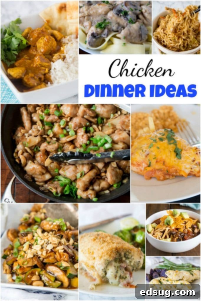 Cluck-Worthy Chicken Meals 2 Chicken Dinner Ideas - mix up your chicken dinner with one of these 20 new and tasty chicken dinner ideas. Asian, Mexican, Indian and more - anything but boring, but still quick and easy!