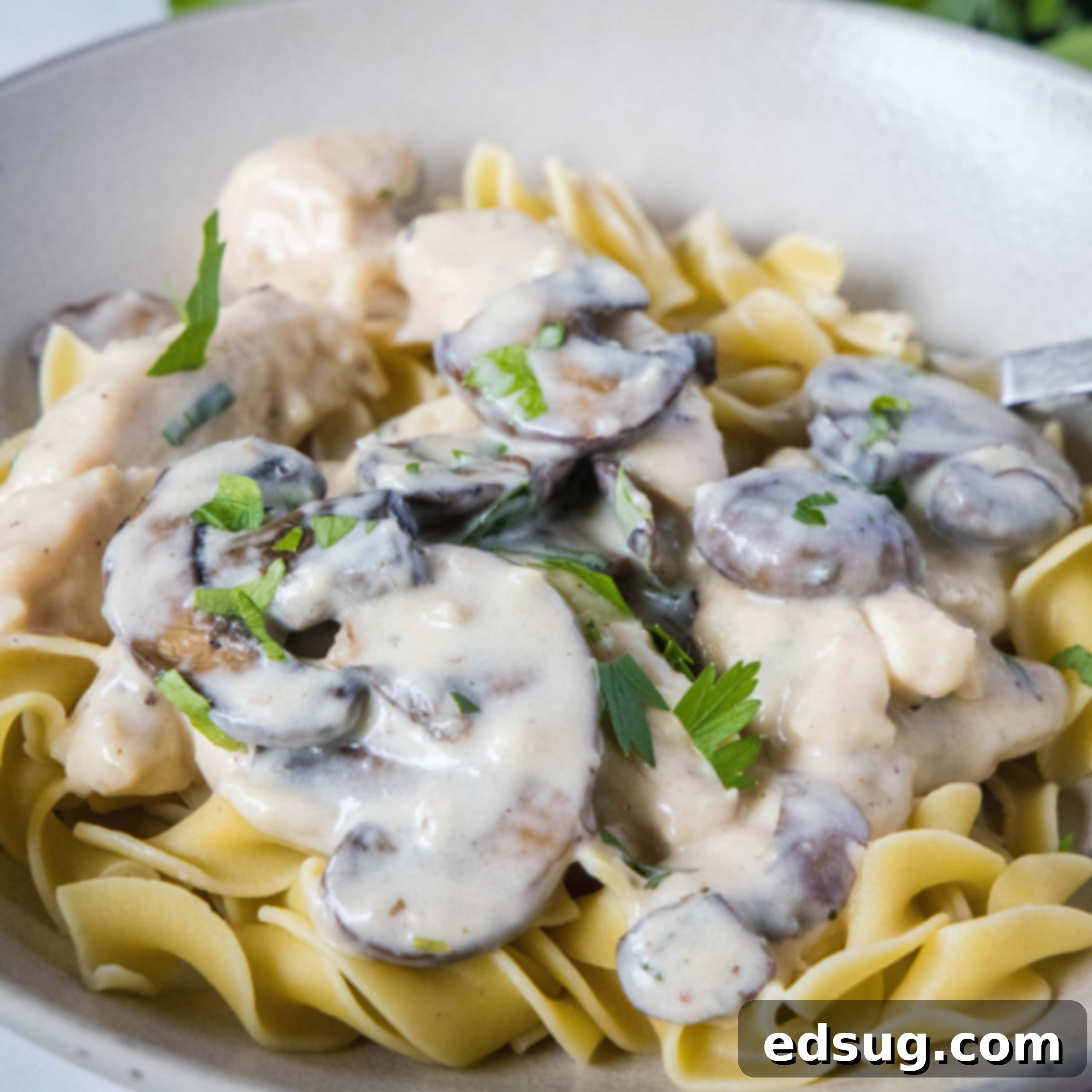 Cluck-Worthy Chicken Meals 13 close up chicken stroganoff over noodles in a bowl