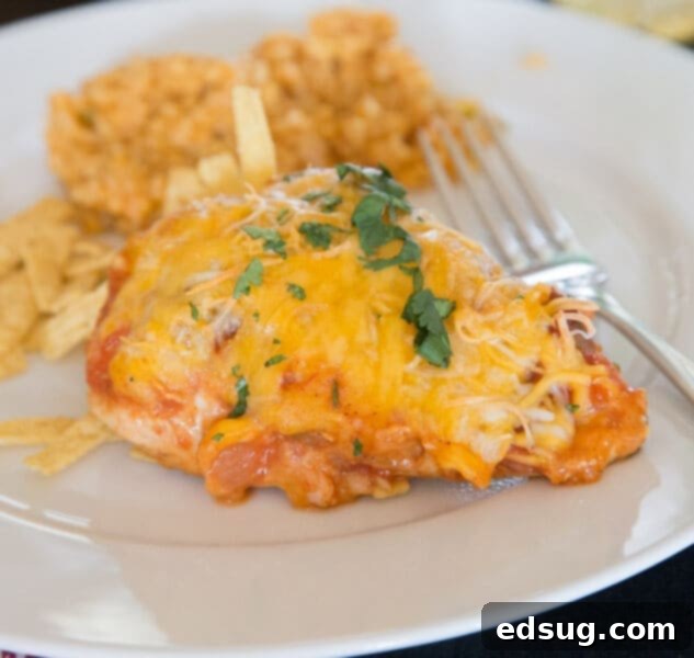 Cluck-Worthy Chicken Meals 14 Southwest Baked Chicken - a baked chicken recipe that is ready in no time, with tons of flavor. Just 4 ingredients and dinner is done!