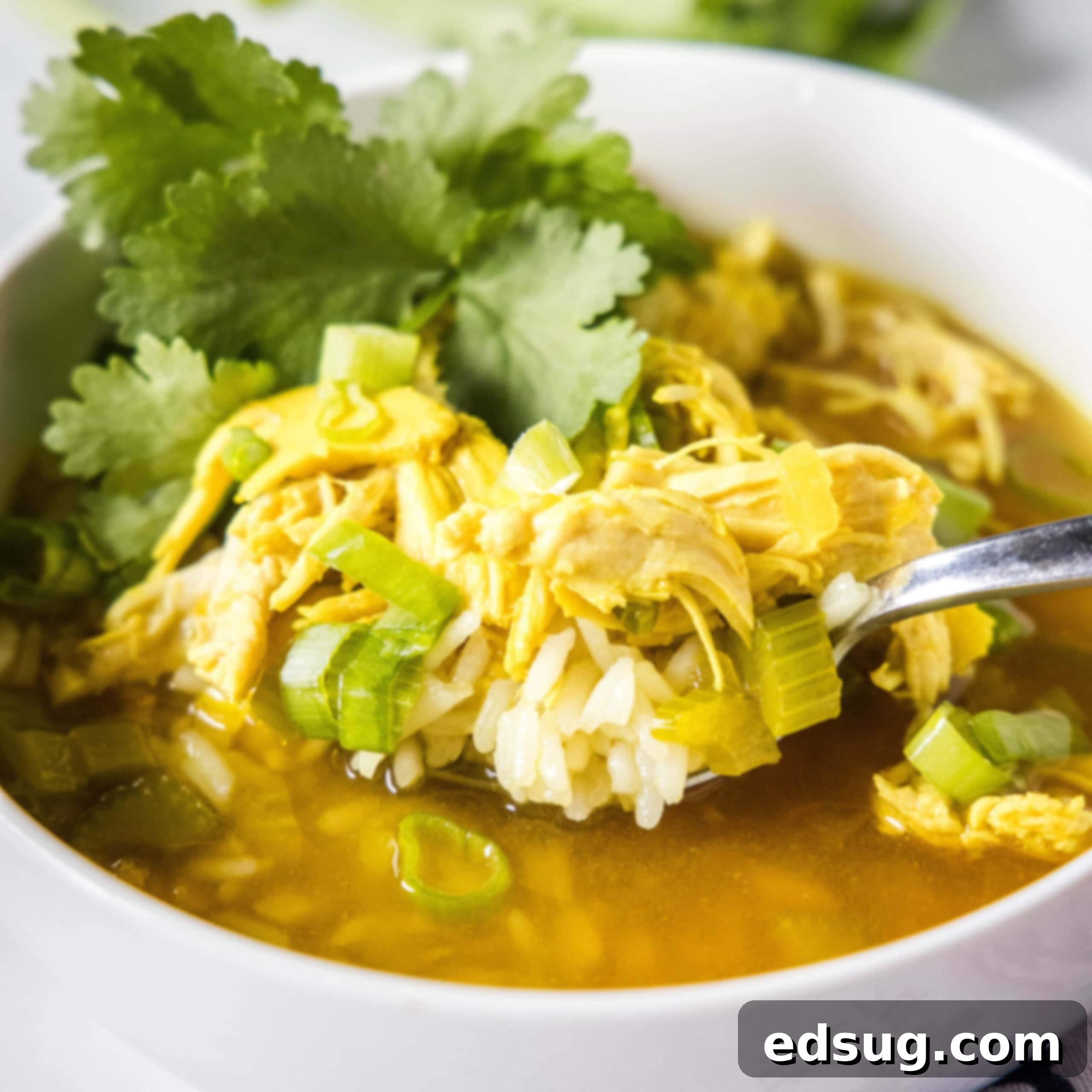 Cluck-Worthy Chicken Meals 38 cropped close up ginger chicken soup in a whie bowl