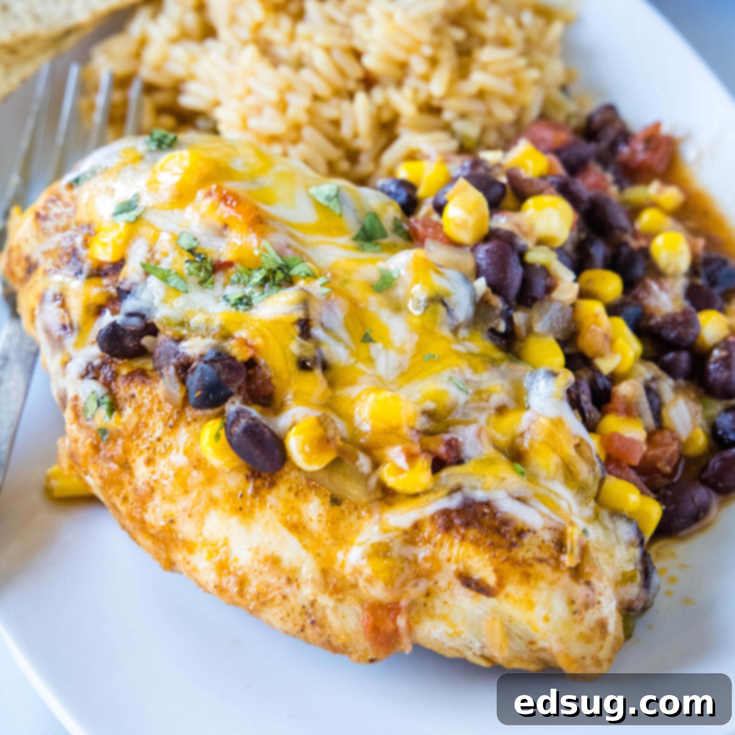 Cluck-Worthy Chicken Meals 45 close up santa fe chicken on a plate