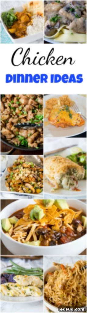 Cluck-Worthy Chicken Meals 55 Chicken Dinner Ideas - mix up your chicken dinner with one of these 20 new and tasty chicken dinner ideas. Asian, Mexican, Indian and more - anything but boring, but still quick and easy! #chicken #dinner #recipe #dinnerideas #easydinners