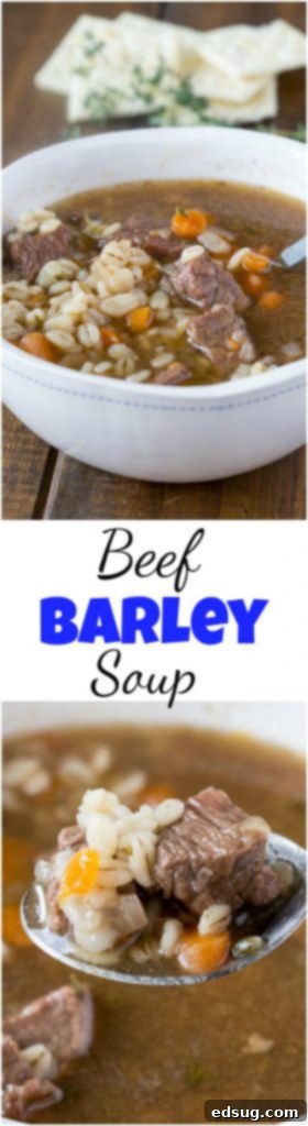 Beef Barley Soup Collage: A collection of images highlighting this hearty and comforting recipe. A collage of Beef Barley Soup images, showcasing its inviting appearance.