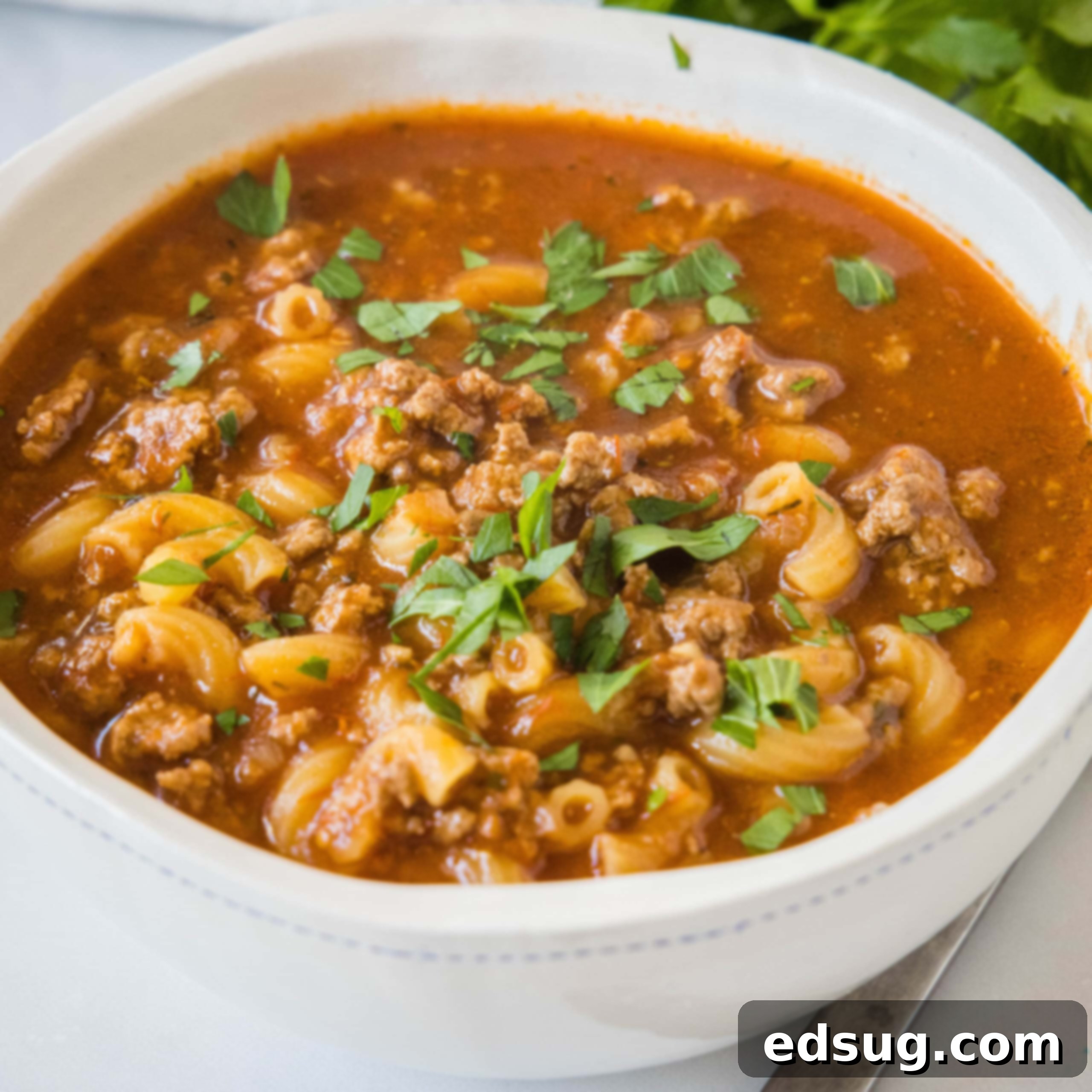A bowl of beef macaroni soup garnished with fresh parsley.