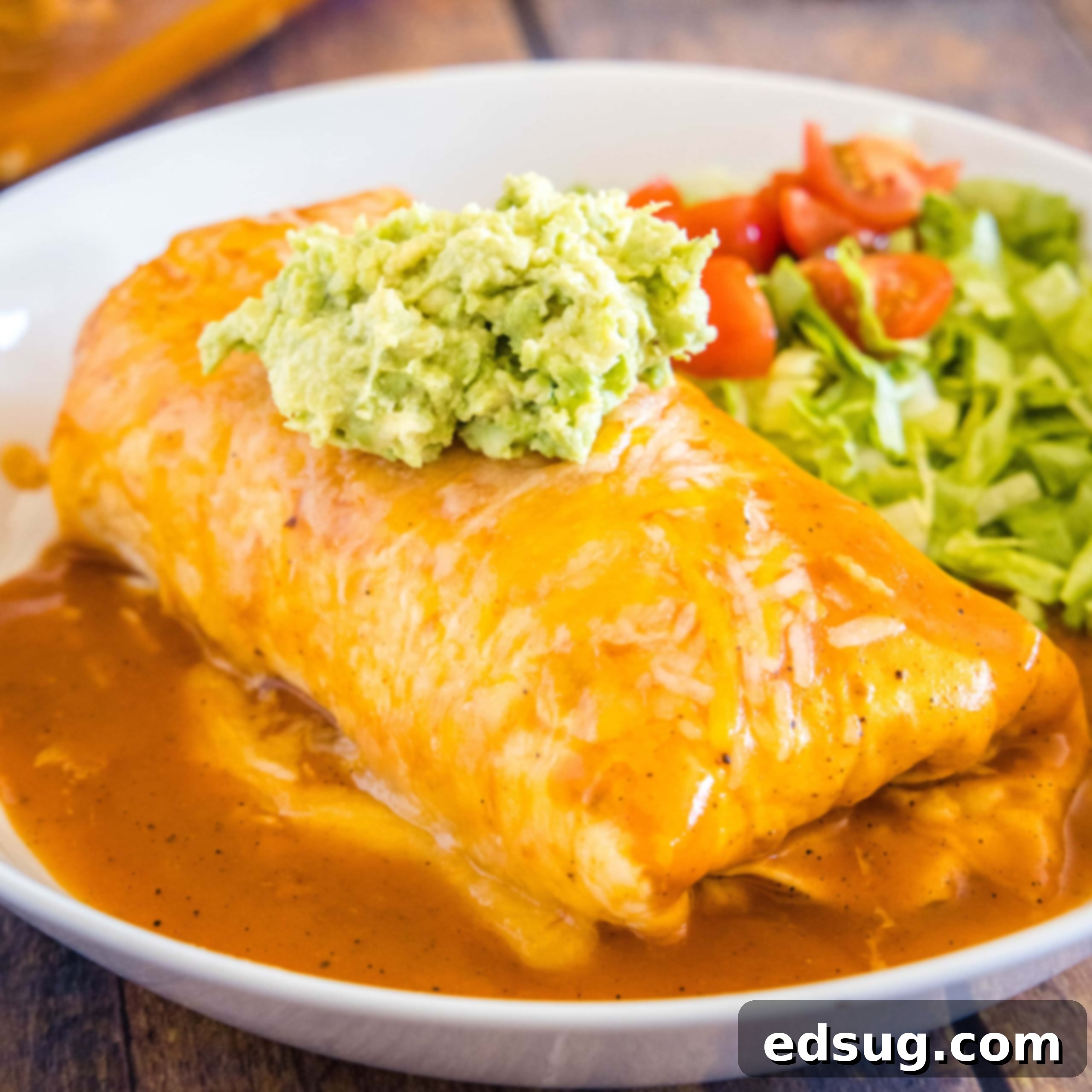 cropped in close up of wet burrito on a white plate