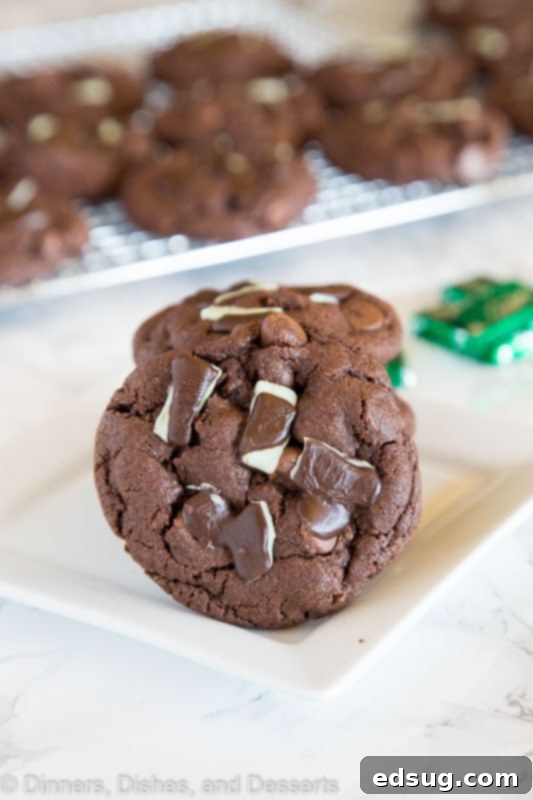 Andes Mint Cake Mix Cookies stacked on a cooling rack, showcasing their fudgy texture and melted mint topping.