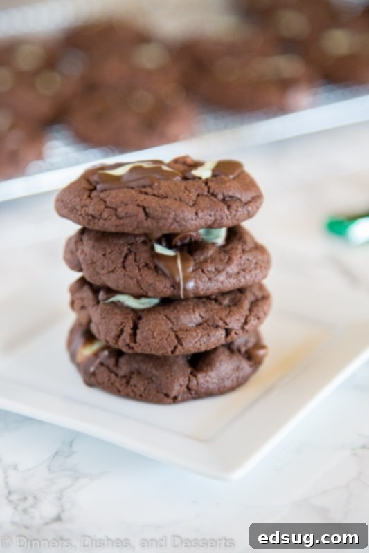 Close-up of chocolate cake mix cookie dough before baking, showing chocolate chips mixed in.