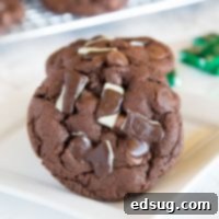 Andes Mint Cake Mix Cookies - Combine 2 favorites, Andes Mint Cookies and Cake Mix Cookies into one and get these super easy, chocolate-y, and fudgy cookies!