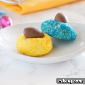 Mini Chocolate Egg Blossom Cookies