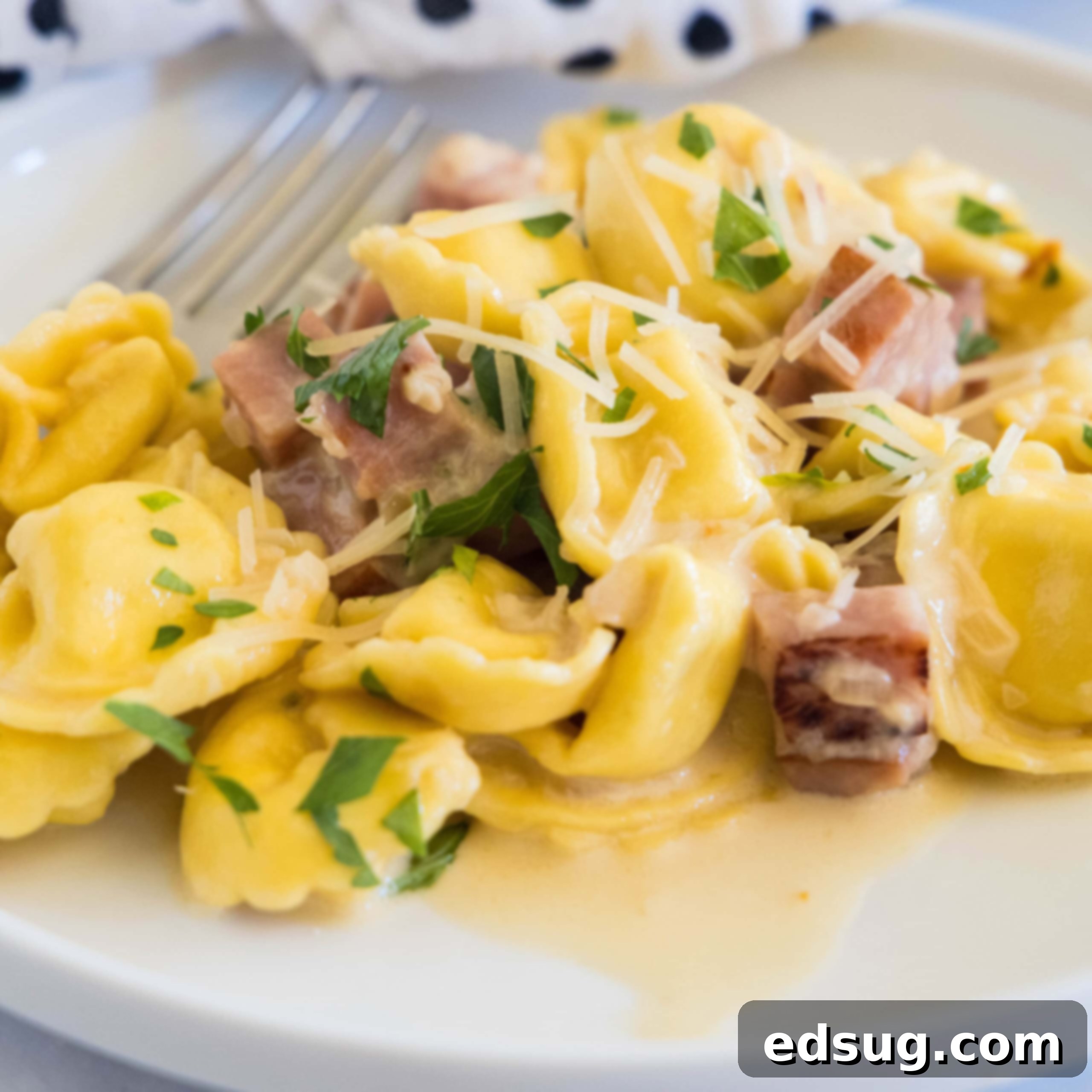 Ham tortellini garnished with chopped parsley and parmesan on a white plate, with a fork in the background.