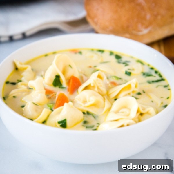 Creamy Chicken Tortellini Soup - A quick and easy soup that is perfect for a cold night. Warm up with this cozy soup filled with vegetables, chicken and tortellini all in a delicious creamy broth. 