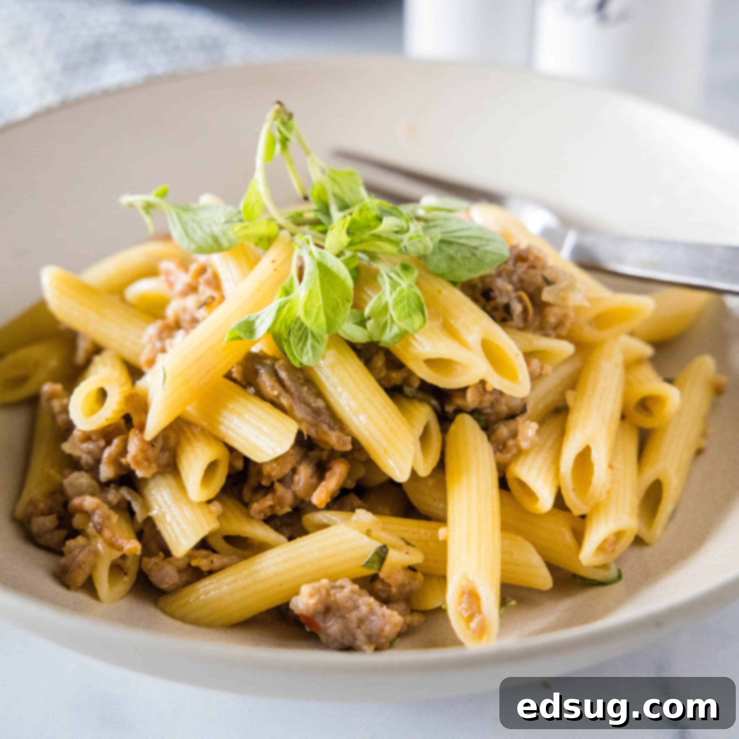 Pasta risotto garnished with oregano leaves in a white bowl with a fork.