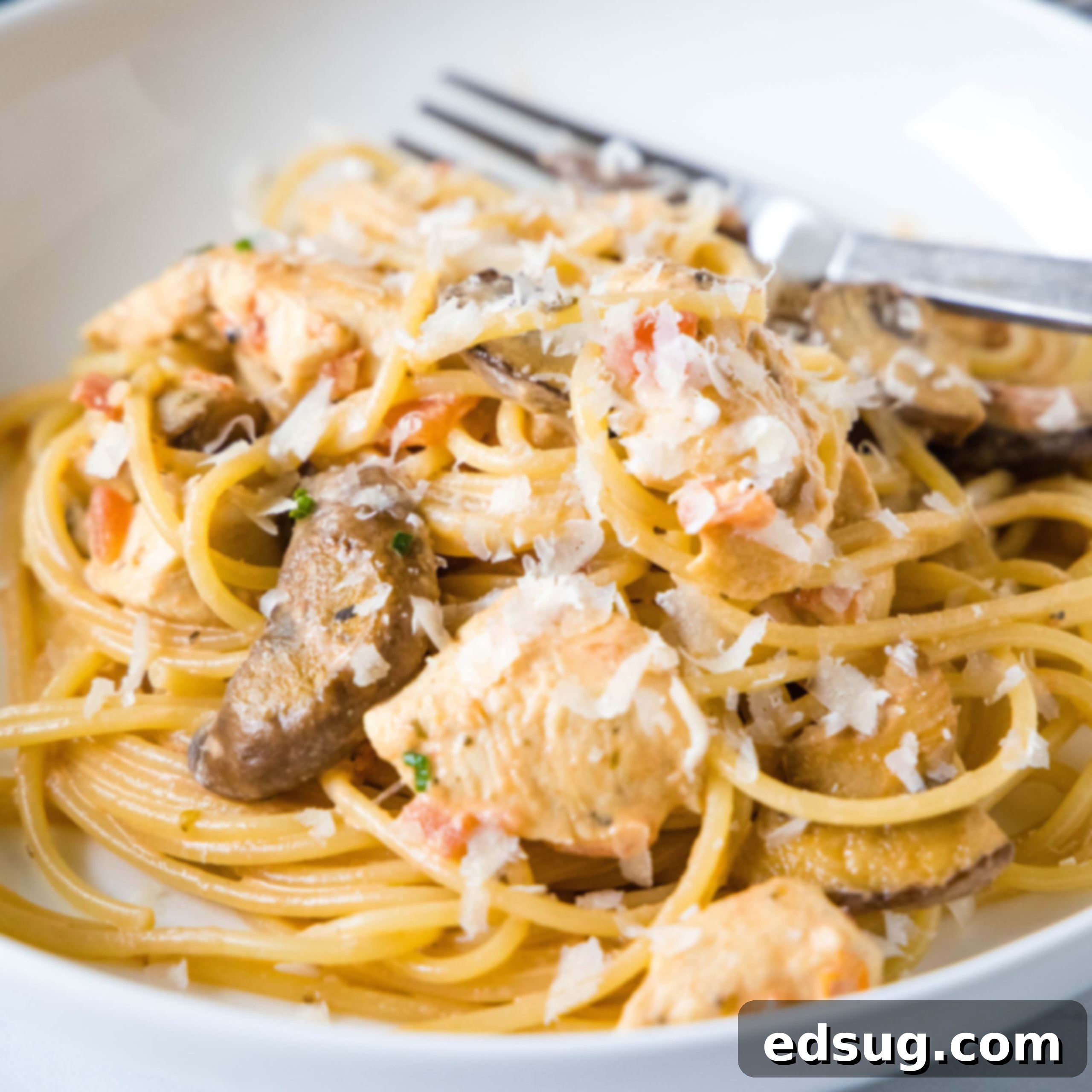 close up tuscan chicken skillet on a white plate