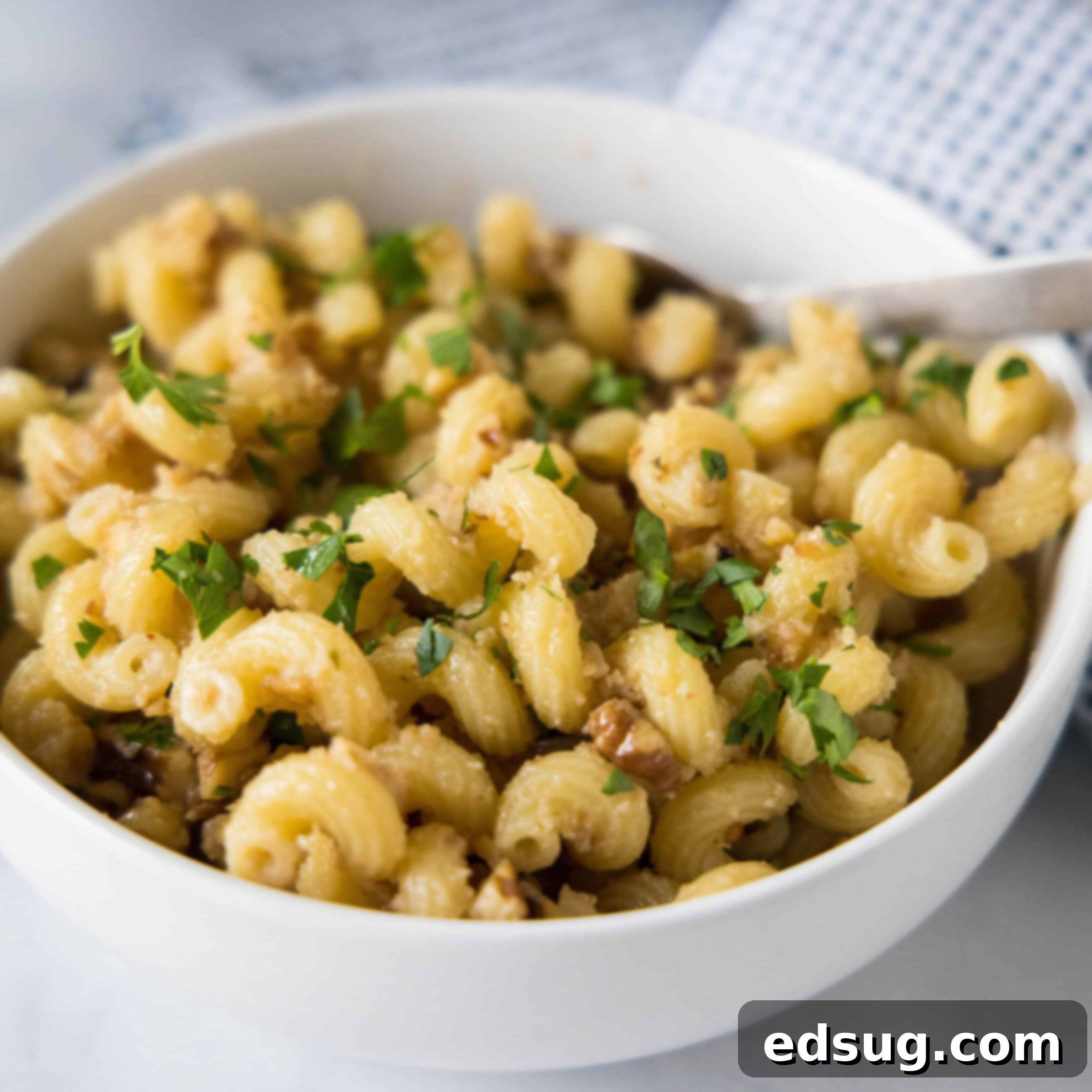 Toasted walnut pasta in a white bowl.