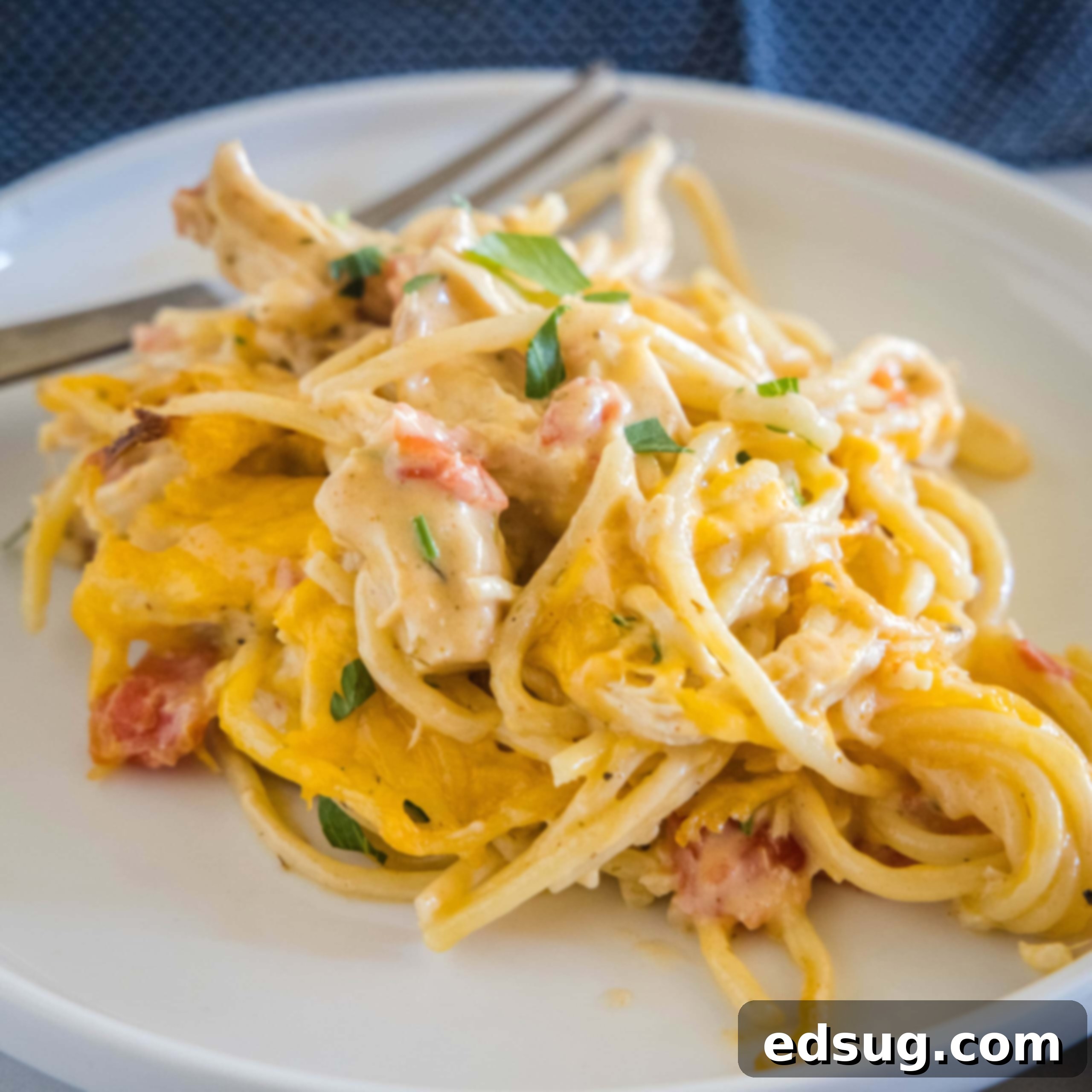 A serving of chicken spaghetti on a white plate with a fork in the background.