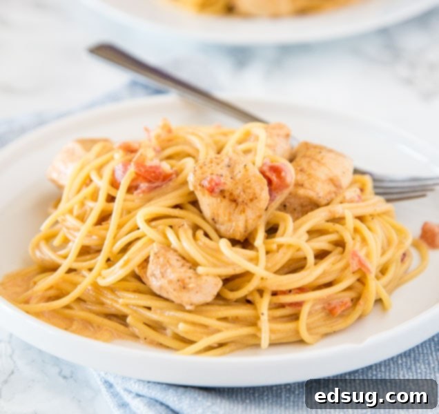 Creamy Cajun Chicken Pasta - Get dinner on the table fast with this creamy pasta full of spicy creole seasoning, tomatoes, and chicken! 