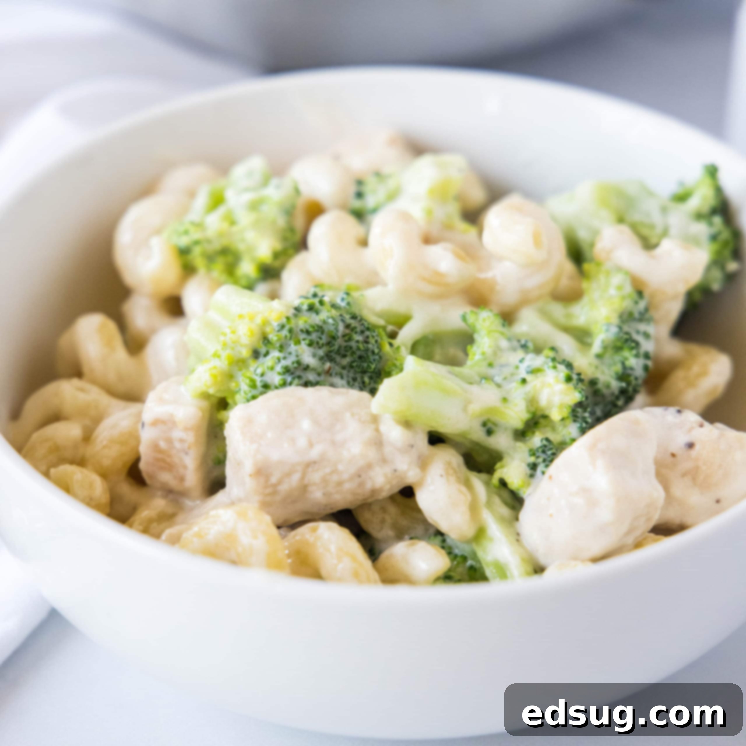 bowl of chicken broccoli alfredo close up