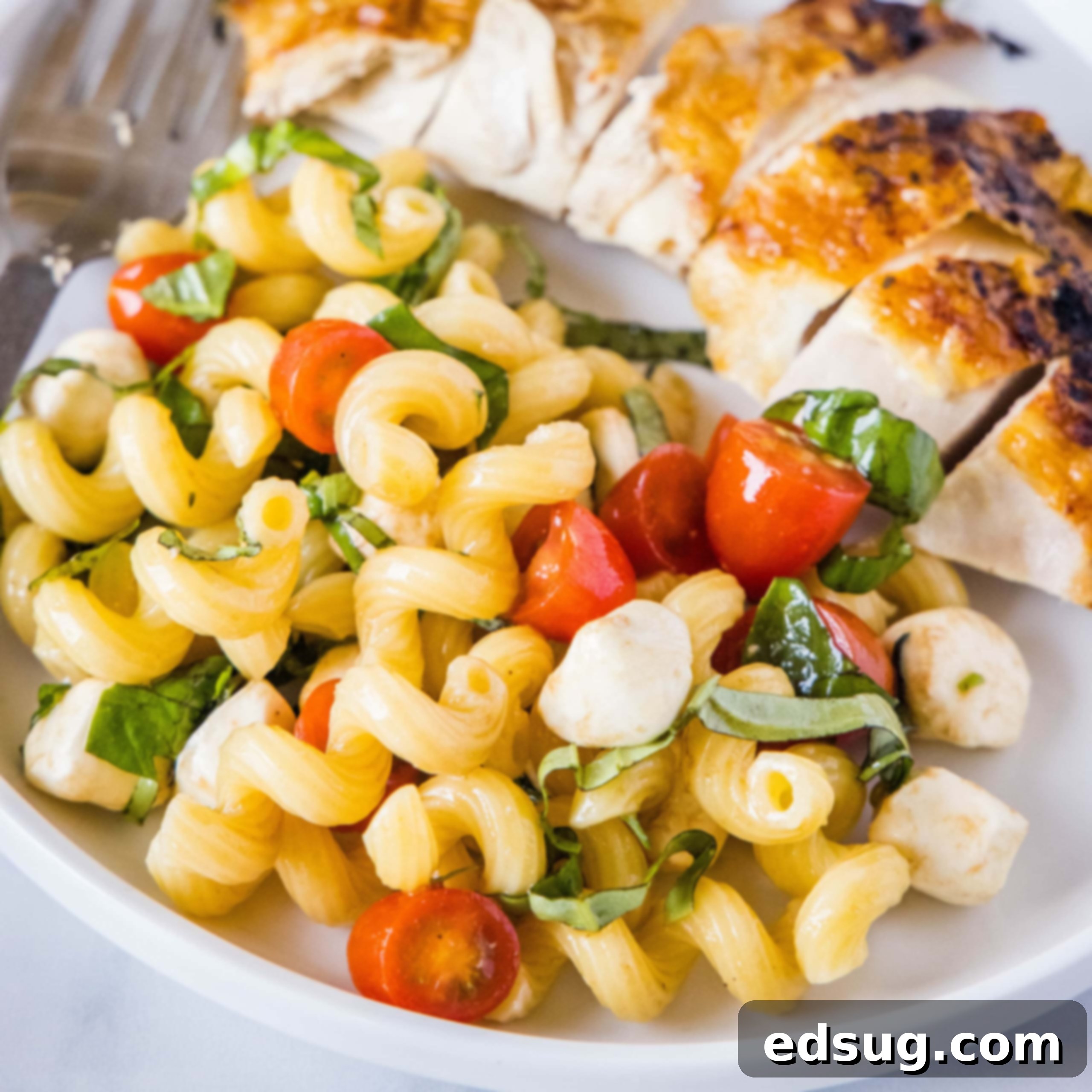 cropped in close up of pasta salad next to a piece of chicken