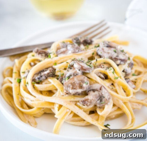 A plate of pasta with sauce and cheese, with Dinner