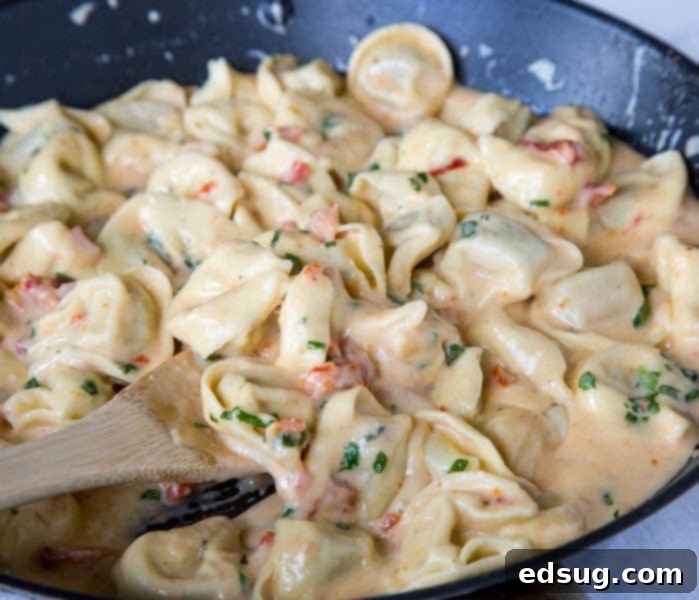 Tomato-Basil Pasta - a rich and creamy pasta dinner the whole family will love. Ravoili or Tortellini tossed in a sun-dried tomato cream sauce and plenty of fresh basil!