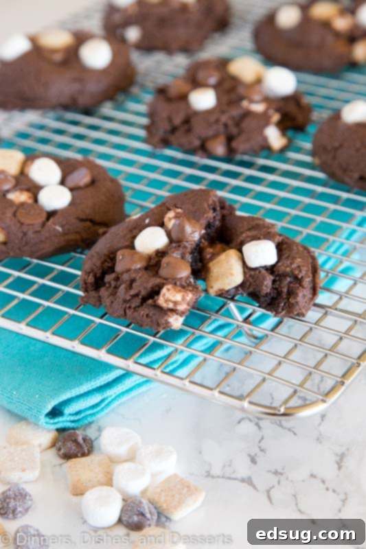 S'mores Chocolate Cake Mix Cookies - super easy cake mix cookies loaded with marshmallows, more chocolate, and graham cracker pieces. Soft, chewy, and fudgy chocolate cookie perfection! Close-up view of soft S'mores Cake Mix Cookies, showing melted chocolate and golden marshmallows