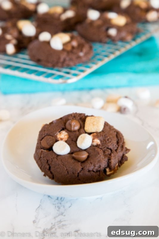 S'mores Chocolate Cake Mix Cookies - super easy cake mix cookies loaded with marshmallows, more chocolate, and graham cracker pieces. Soft, chewy, and fudgy chocolate cookie perfection! Soft chocolate cake mix cookies loaded with S'mores toppings, cooling on a rack