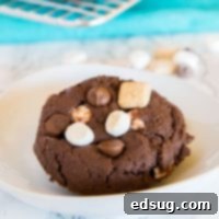 Ultimate Smores Chocolate Cake Mix Cookies 2 A delicious S'mores Chocolate Cake Mix Cookie with melted marshmallows, chocolate, and graham cracker pieces.