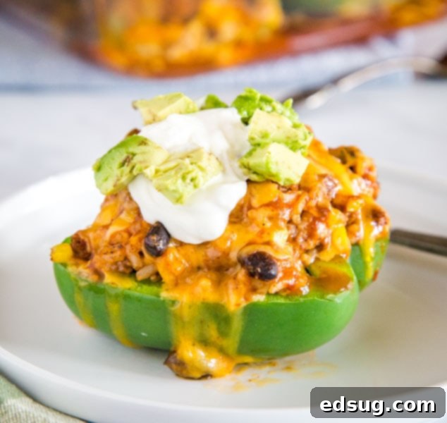 A plate of vibrant and generously stuffed peppers, ready to be enjoyed as a meal.