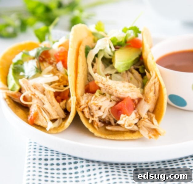 Flavorful Instant Pot chicken tacos on a plate, garnished and ready to be served.