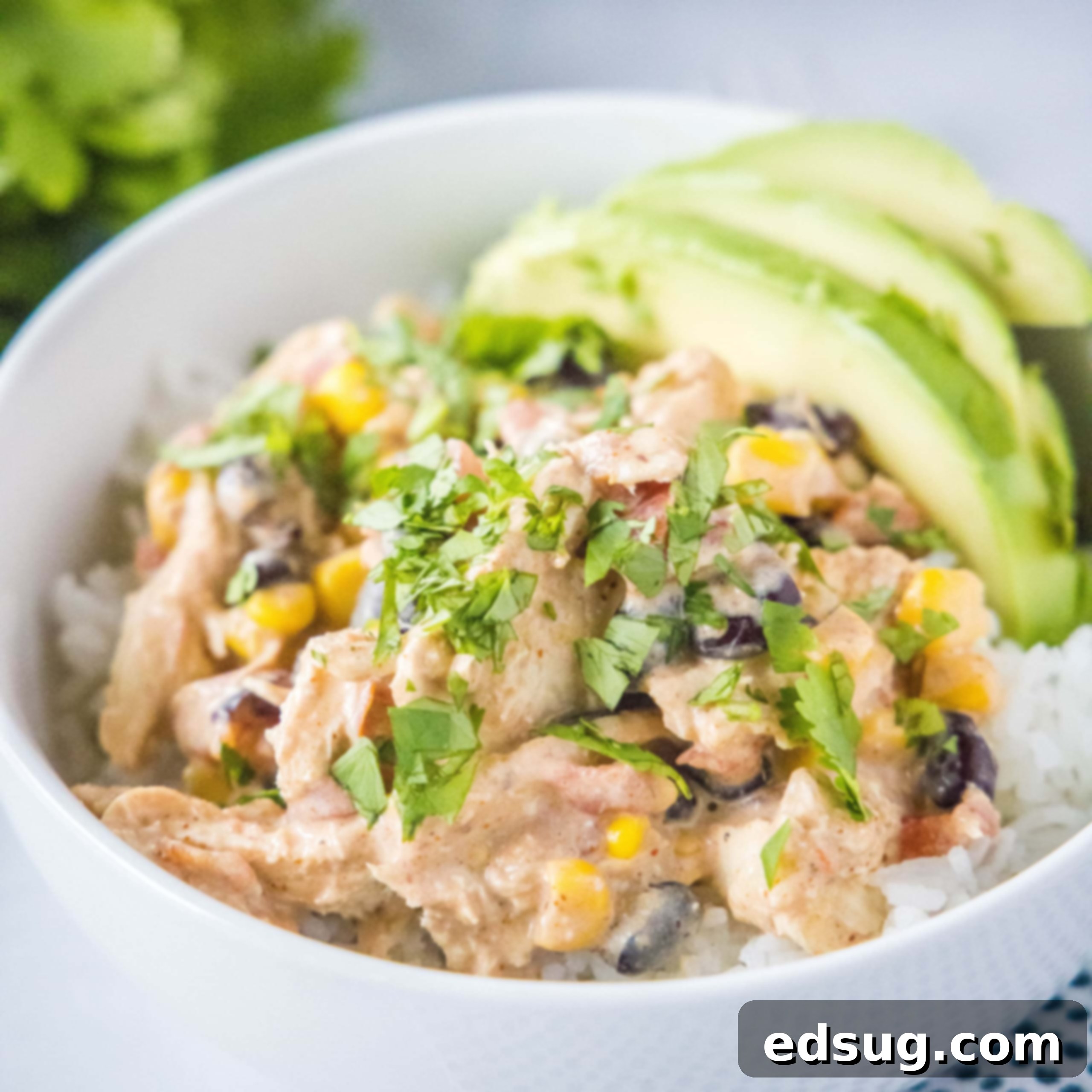 Close up of delicious fiesta chicken and rice in a bowl, garnished with cilantro.