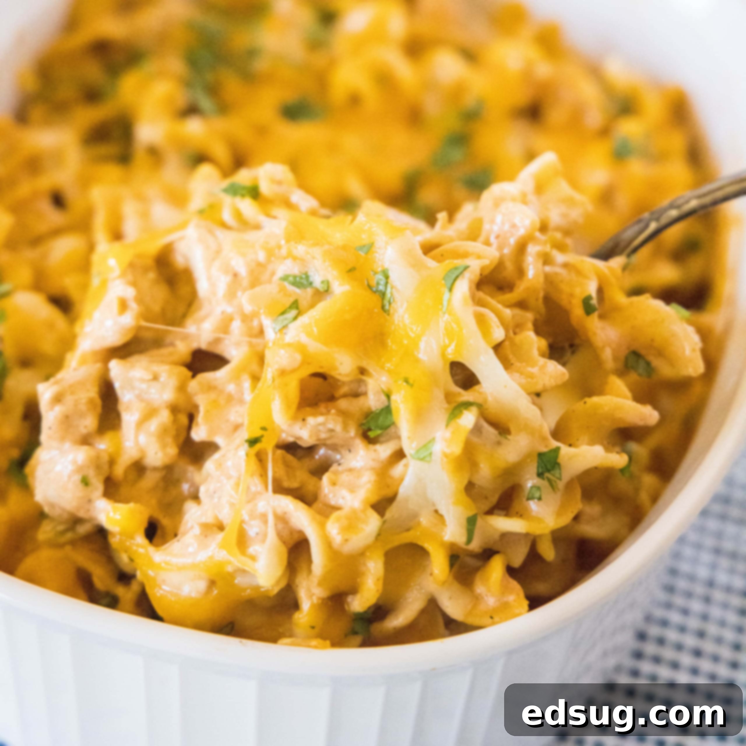 Close up of chicken pasta casserole being scooped out of a baking dish, with melted cheese and sauce.