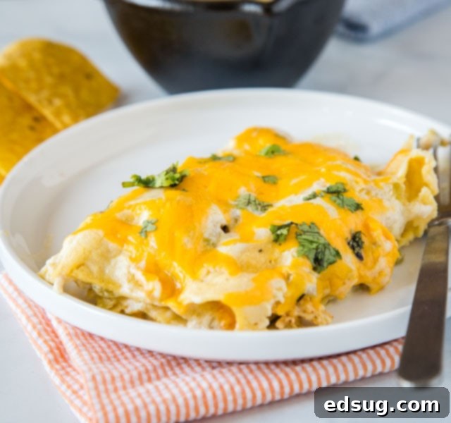 White Chicken Enchiladas - super easy sour cream chicken enchiladas that are made with lots of creamy and tangy sour cream for a delicious white sauce. They are cheesy, full of flavor and great for dinner anytime!