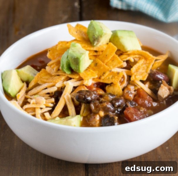 A cozy bowl of Chicken Enchilada Soup, garnished and ready for a comforting meal.