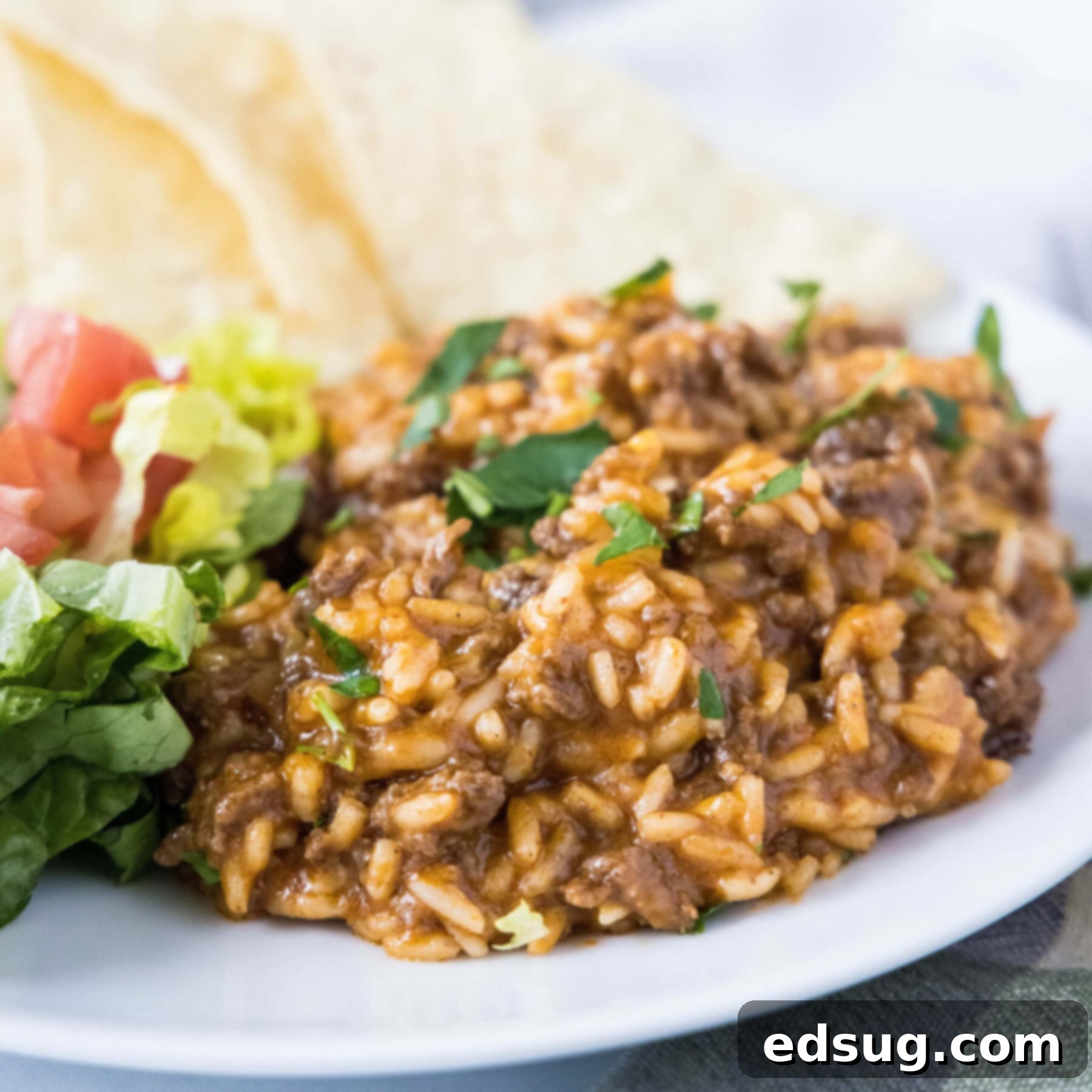 A plate of delicious taco rice, topped with fresh cilantro, with a bowl of crispy tortilla chips in the background.