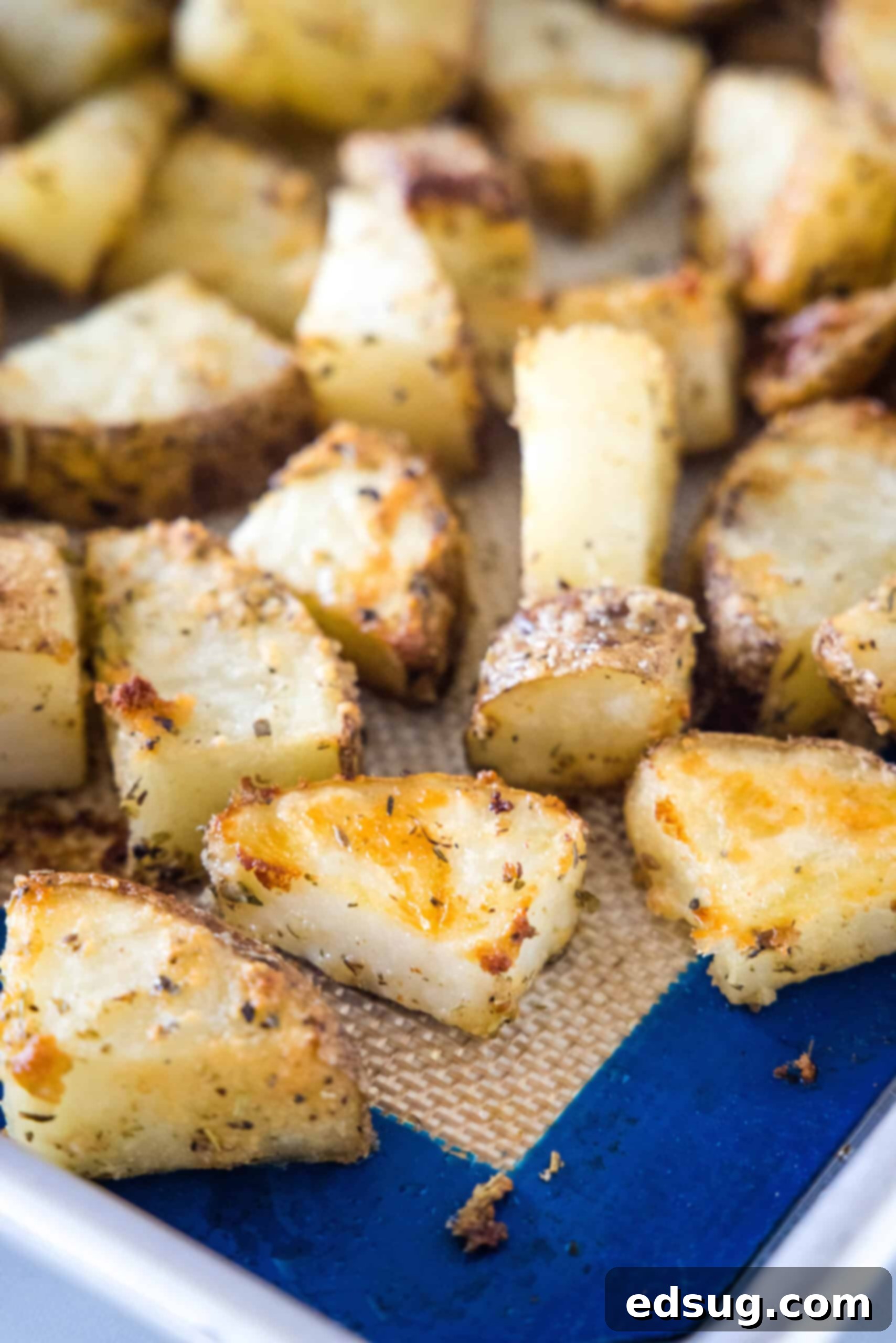 Make perfectly golden, crispy oven roasted potatoes as an easy side dish or appetizer! All it takes is olive oil and a handful of spices. Close up of seasoned oven roasted potatoes on a baking sheet, freshly out of the oven.