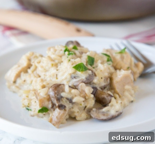 A plate of creamy stovetop chicken and rice, garnished with fresh parsley.
