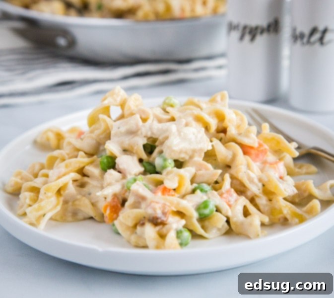 Chicken Pot Pie Noodles - a fun twist on classic chicken pot pie using noodles! Comes together in minutes, perfect for quick weeknight meals.