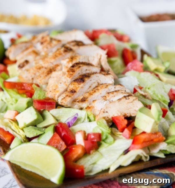 Fresh Chicken Fajita Salad with grilled chicken and vegetables