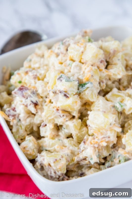A close up of food with Potato and Salad