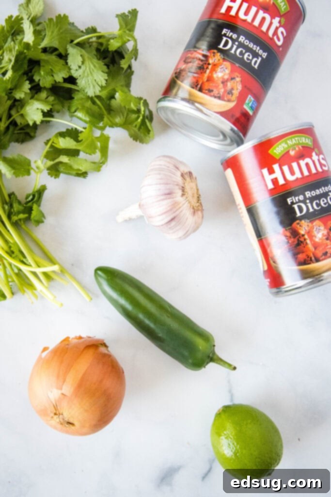 fire roasted salsa ingredients