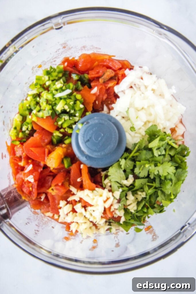 salsa ingredients in food processor
