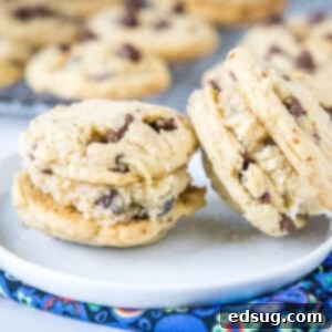 Chocolate Chip Cookie Dough Stuffed Cookies 5 Chocolate Chip Cookie Dough Sandwich Cookies – Soft, chewy chocolate chip cookies filled with a fluffy, egg-free cookie dough center. These fun, handheld treats are easy to make and perfect for any cookie dough lover.