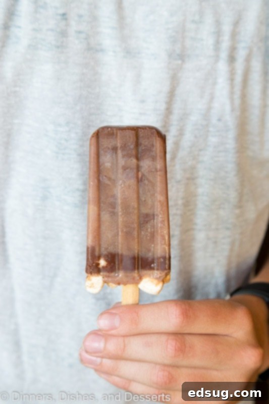 Close-up of a person holding a single frozen hot chocolate popsicle, showing the creamy texture and embedded marshmallows.